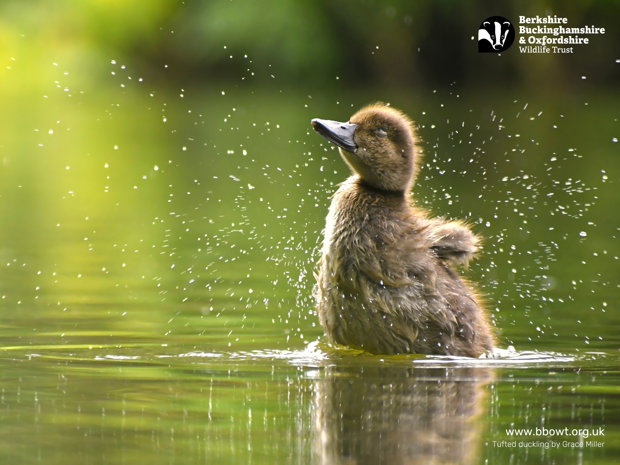 March wallpaper 1280 by 768