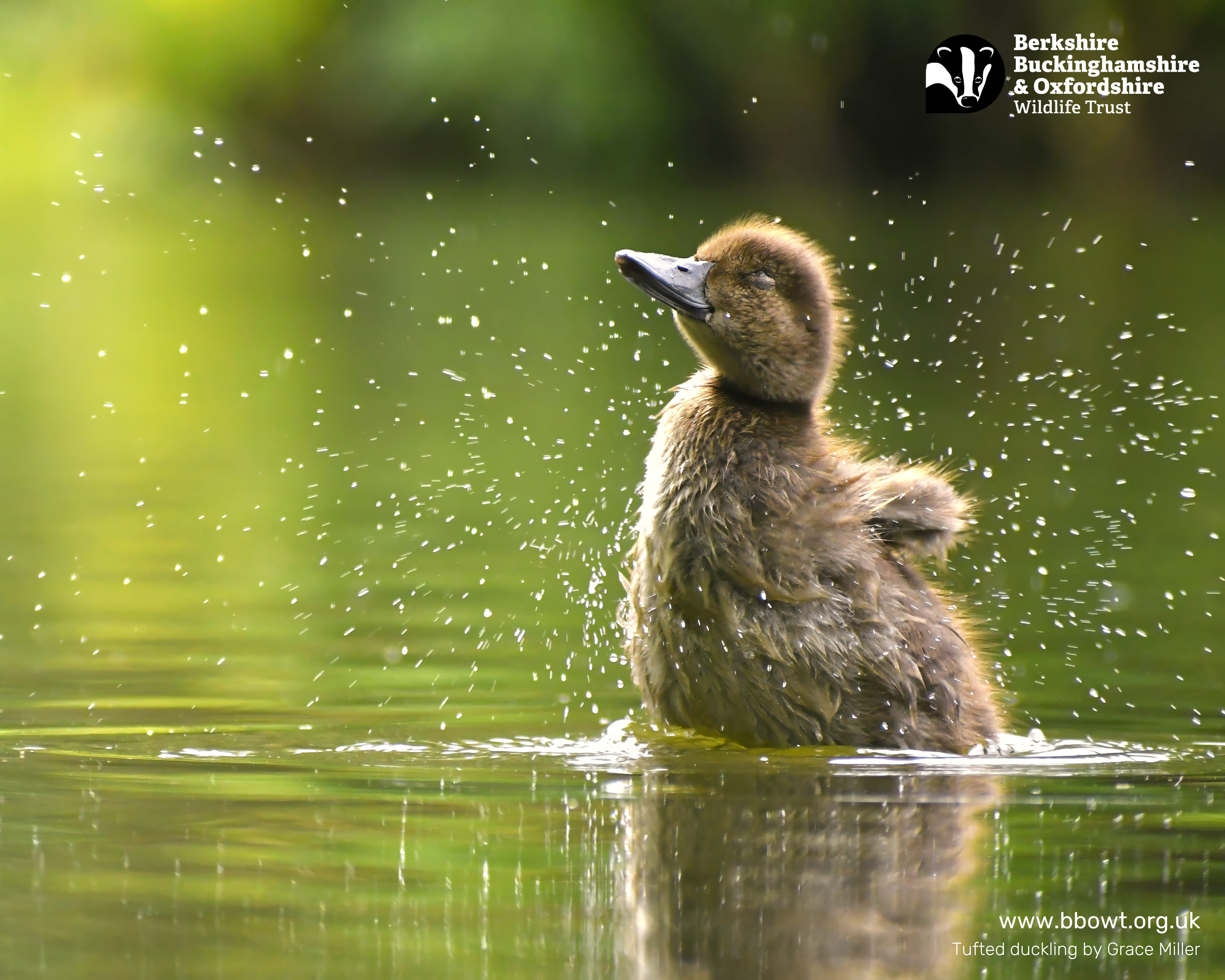 March wallpaper 1280 by 1024