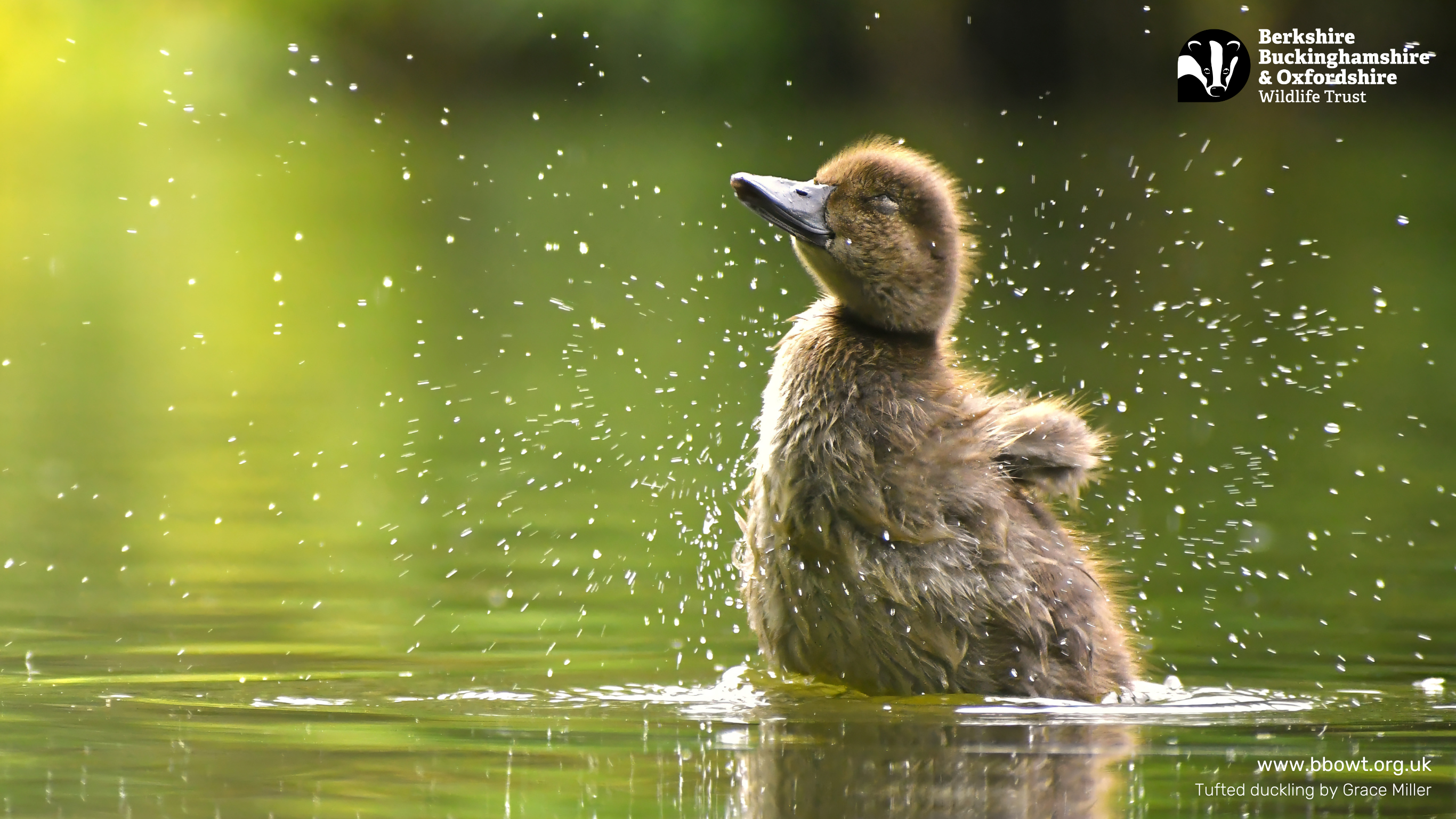 March wallpaper 1366 by 768