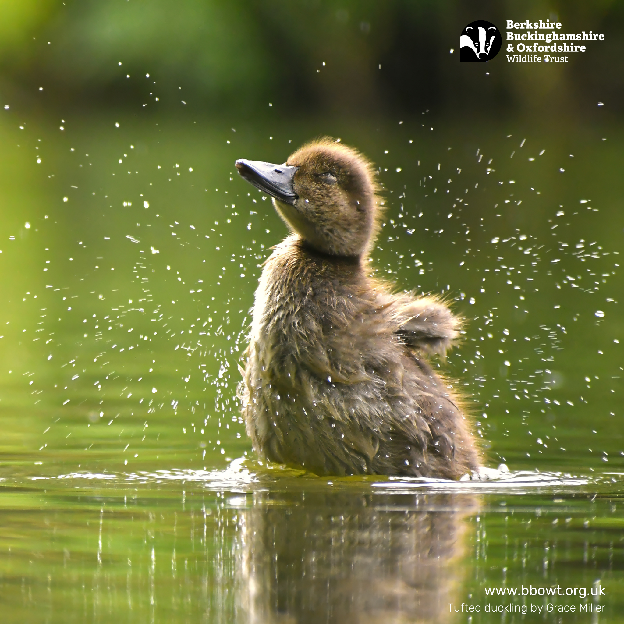 March wallpaper 1024 by 1024