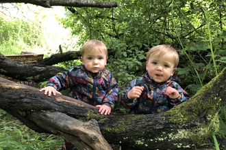 Twin toddlers behind a log