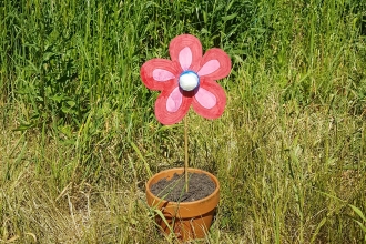 Butterfly feeder outdoors