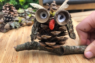 Pine cone owl