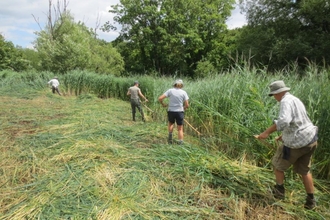 Volunteers scything at Chilswell Valley