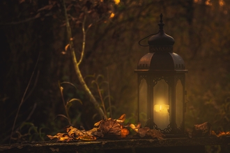 Halloween trail at College Lake by Marco Blazevic