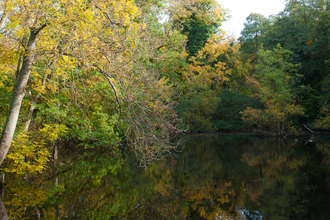 CS Lewis nature reserve