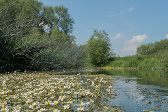 Duxford Old River