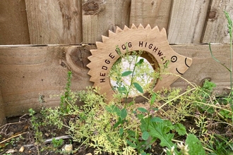 Hedgehog hole created in fence