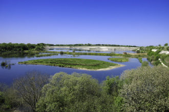 An image looking across the water at College Lake