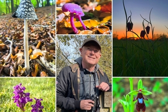 Jon Mason, aka TheEarlyBirder