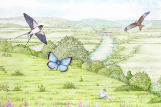 Illustration of Hartslock nature reserve showing green meadows, birds and butterflies