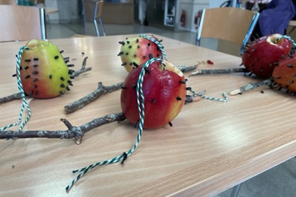 Several hand-made apple bird-feeders on a table. Apples are tied to a branch by string and seeds are wedged into the apple skins in patterns.