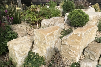 Rock garden with green plants growing in amongst large rocks and gravel