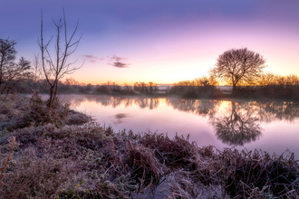 A frost-covered landscape, winter at Cholsey Marsh, Oxfordshire