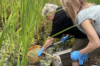 image of two adults pond dipping