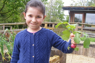 A child holding up a radish