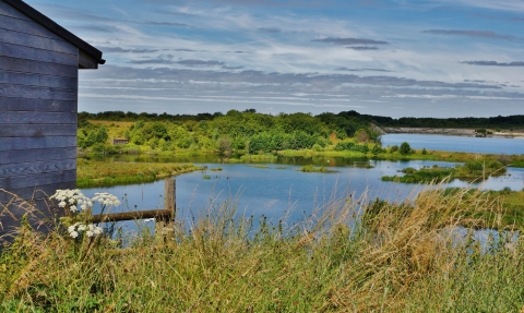 College Lake