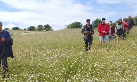 people walking though a flower rich meadow