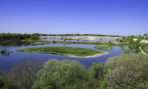 An image looking across the water at College Lake