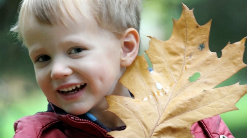 Little boy holding a leaf