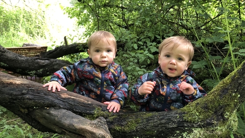 Twin toddlers behind a log