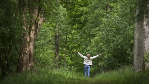 Woman in a wood with arms outstretched above her