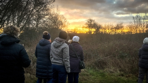 A group of adults watch the sunrise