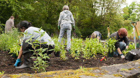 Community garden