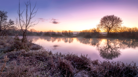 A frost-covered landscape, winter at Cholsey Marsh, Oxfordshire