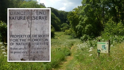 Dancersend Original Sign