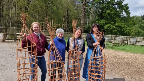 willow plant pyramids