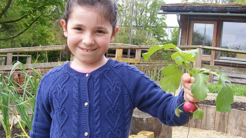 A child holding up a radish