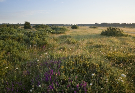 Greenham Common by James Osmond