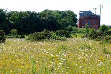 Greenham Common