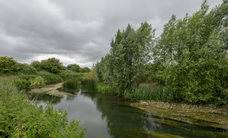 Chimney Meadows by Andrew Marshall