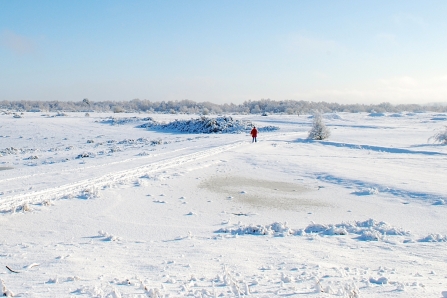 Greenham Common