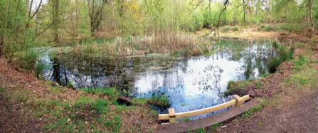 Padworth Common