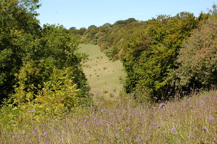 Yoesden nature reserve