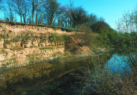 Ardley Wood Quarry Wildlife Trust