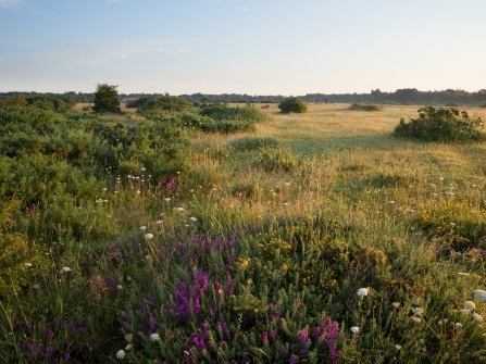 Greenham Common