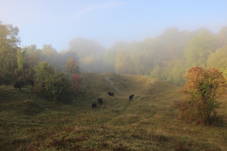 Aston Clinton Ragpits