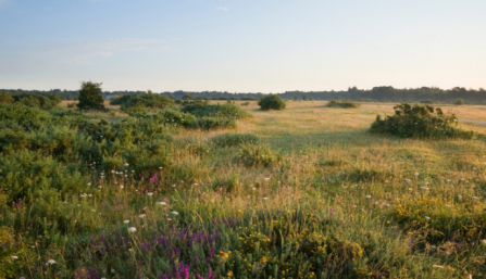 Greenham Common