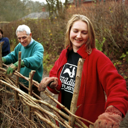 Volunteers hedgelaying