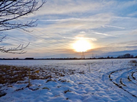 Chimney Meadows