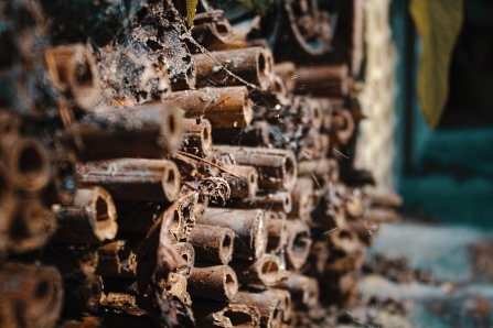 Bug hotel