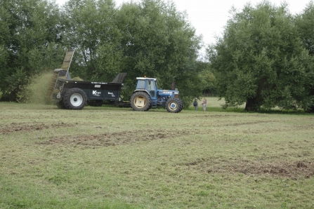 Spreading green hay