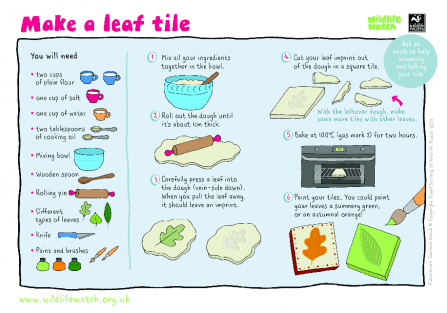 Family activity: how to make salt dough leaf art | Berks Bucks & Oxon ...