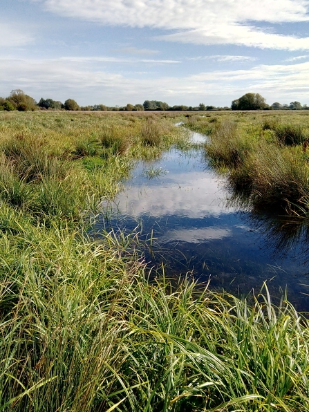 Home Russia Old paleochannel when wet.