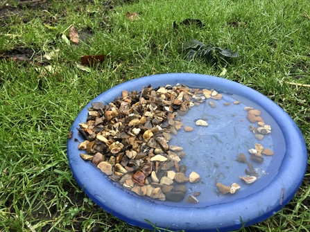 Small mammal water station