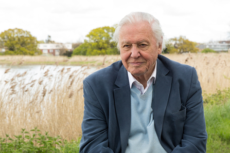 Sir David Attenborough